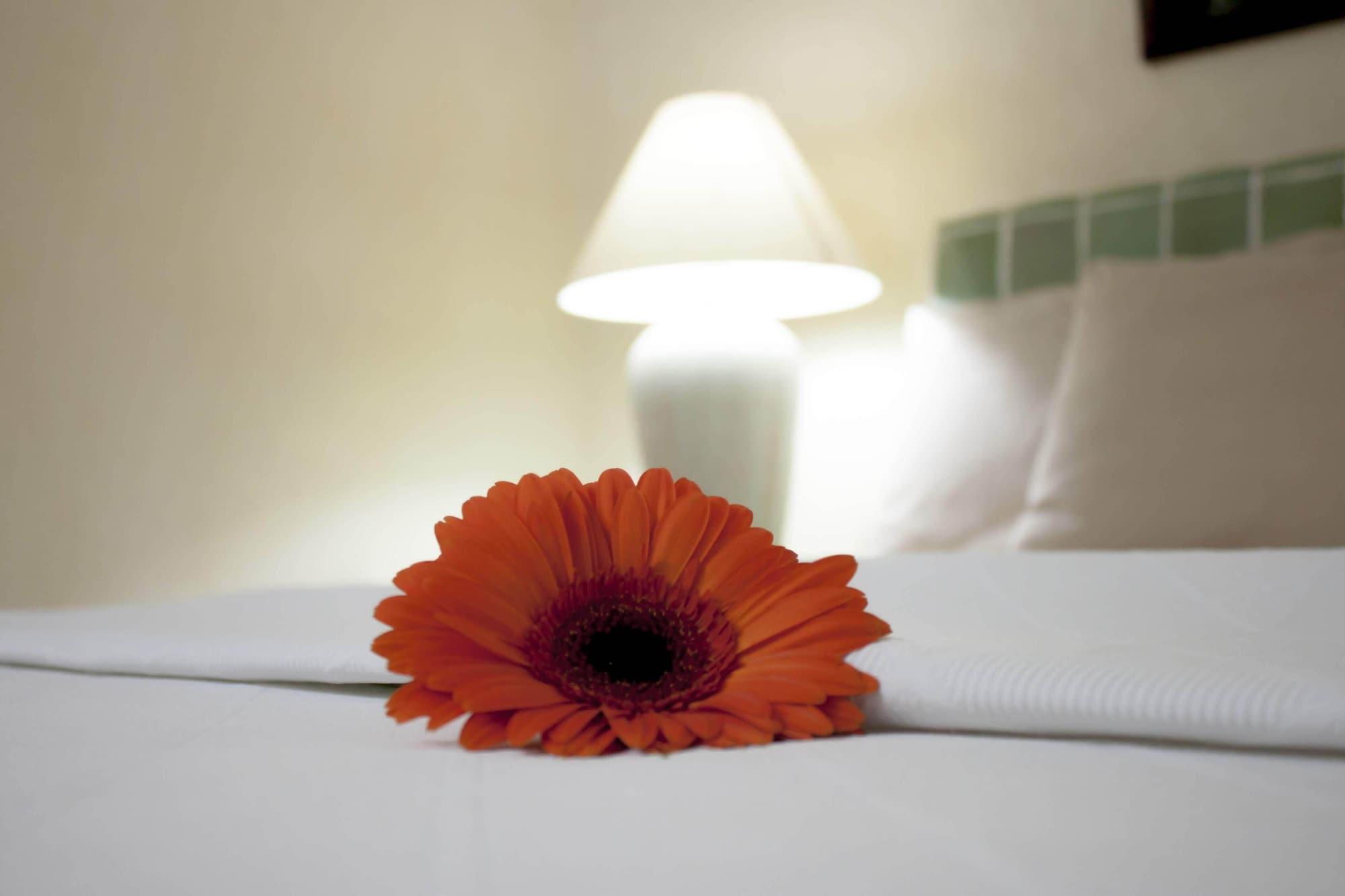Hotel Coral Ixtapa Ixtapa  Esterno foto